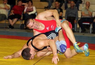 60+ Free Wrestler & Wrestling Images - Pixabay